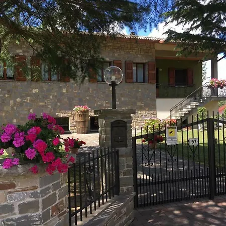 Borelli 57 *