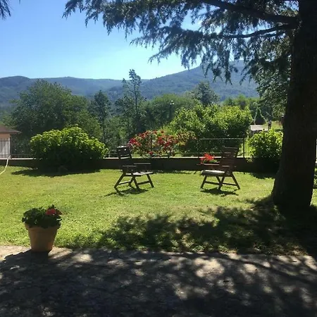 Borelli 57 *